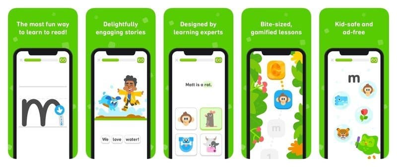 شراء اشتراك Duolingo